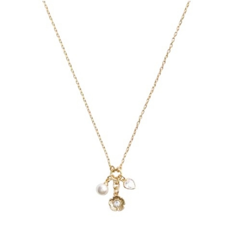 NWT Coach Faux Stone Signature Charm Cluster Pendant Necklace HTF